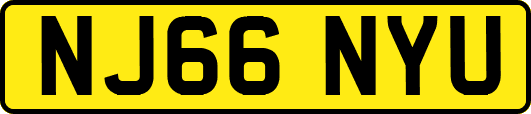 NJ66NYU