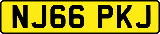 NJ66PKJ