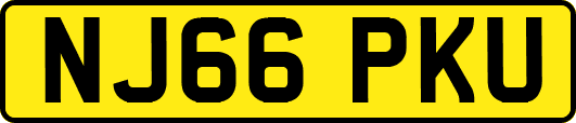 NJ66PKU