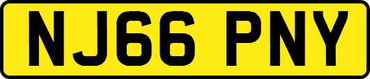 NJ66PNY