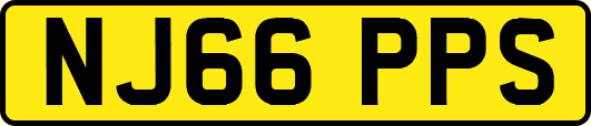 NJ66PPS