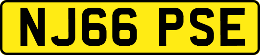 NJ66PSE