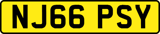 NJ66PSY