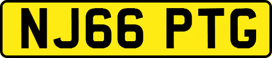 NJ66PTG