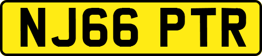 NJ66PTR