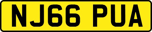 NJ66PUA