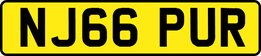 NJ66PUR