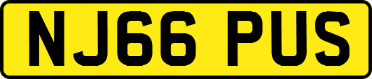 NJ66PUS