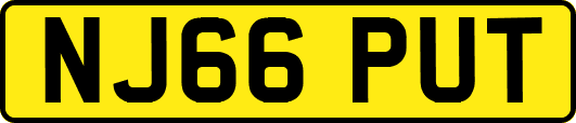 NJ66PUT