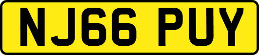 NJ66PUY