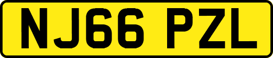 NJ66PZL