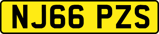 NJ66PZS