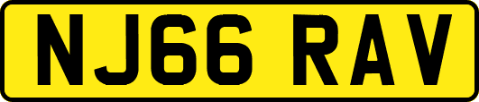 NJ66RAV