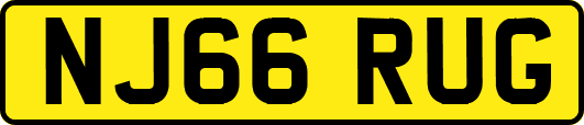 NJ66RUG