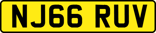 NJ66RUV