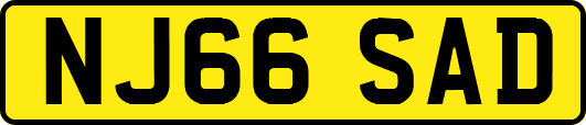 NJ66SAD