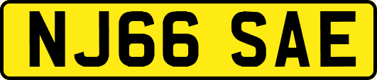 NJ66SAE