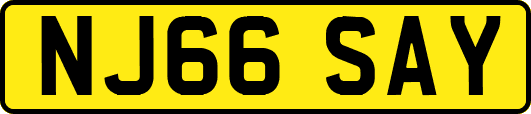 NJ66SAY