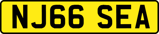 NJ66SEA