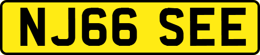 NJ66SEE