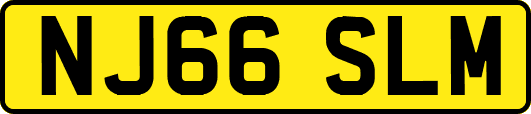 NJ66SLM