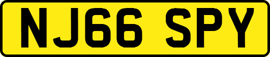 NJ66SPY