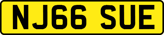 NJ66SUE