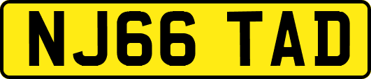 NJ66TAD