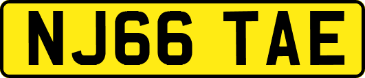 NJ66TAE