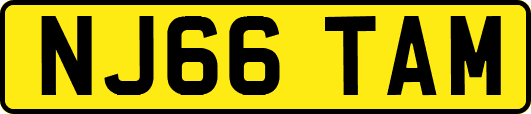 NJ66TAM