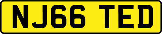 NJ66TED