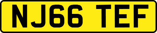 NJ66TEF