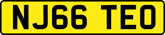 NJ66TEO