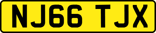 NJ66TJX