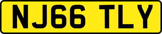 NJ66TLY