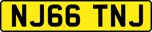 NJ66TNJ