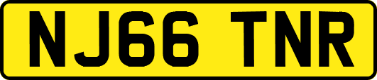 NJ66TNR