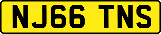 NJ66TNS