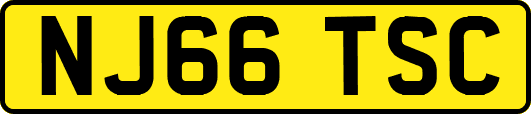 NJ66TSC