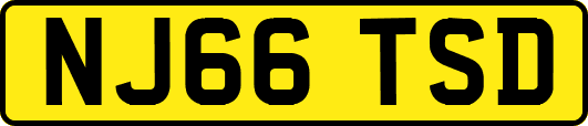 NJ66TSD