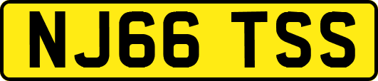 NJ66TSS