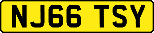 NJ66TSY