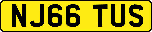 NJ66TUS