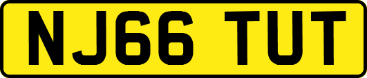 NJ66TUT