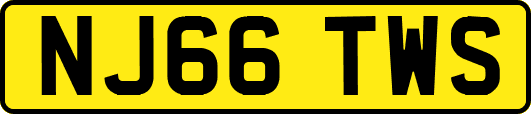 NJ66TWS