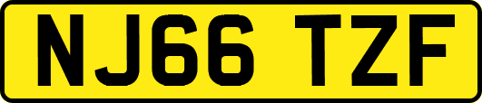 NJ66TZF