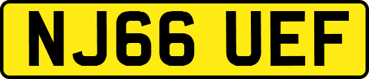 NJ66UEF