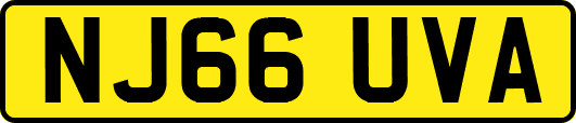 NJ66UVA