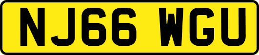 NJ66WGU