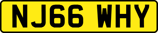 NJ66WHY